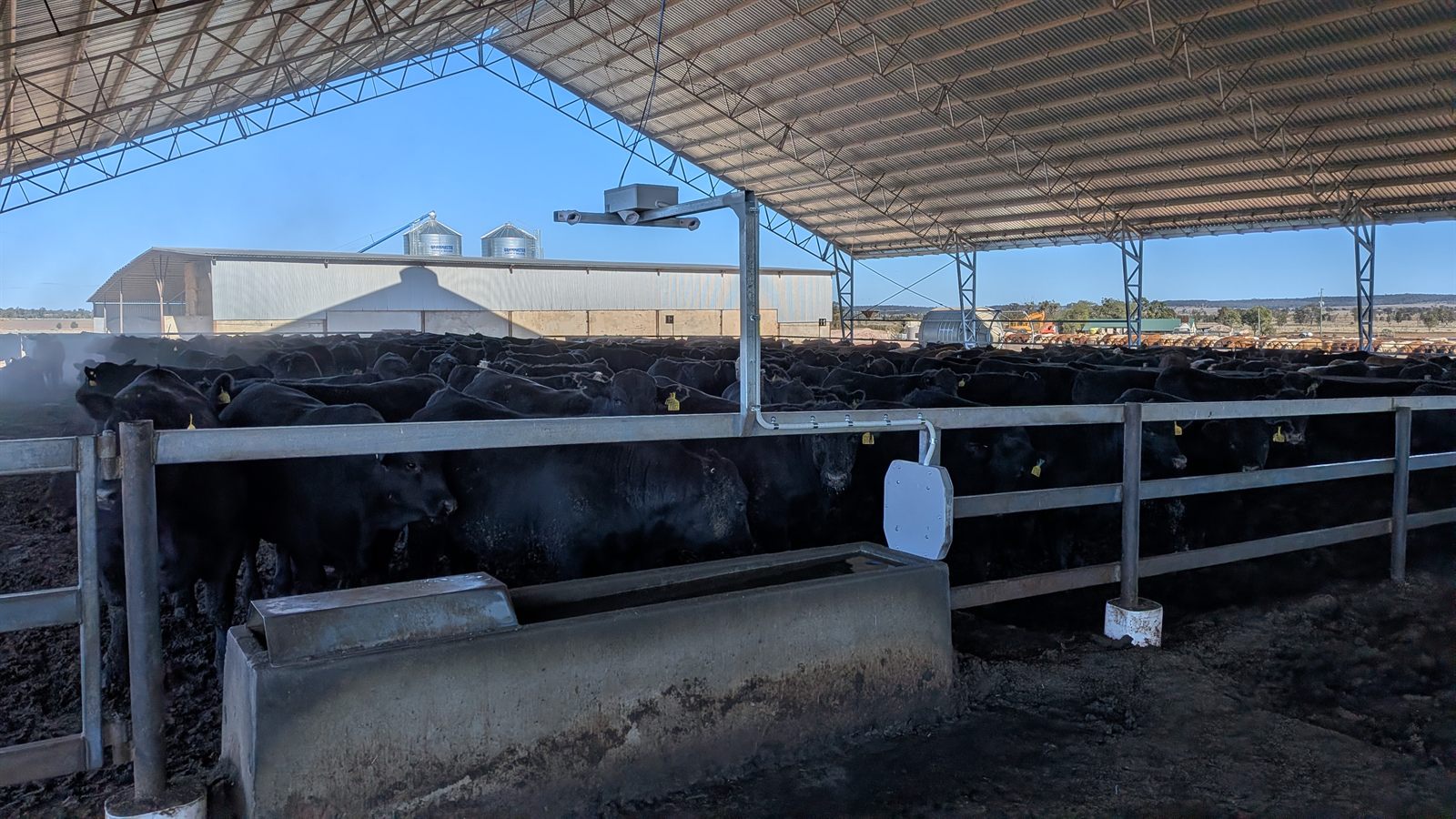 A Bovision sensor unit mounted over a feedlot pen, monitoring cattle at the feed bunk